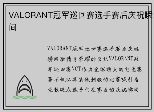 VALORANT冠军巡回赛选手赛后庆祝瞬间