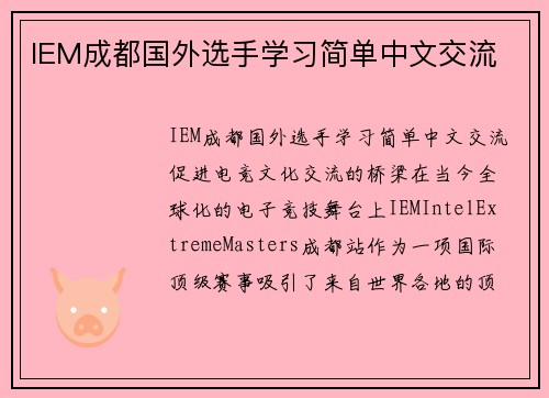 IEM成都国外选手学习简单中文交流